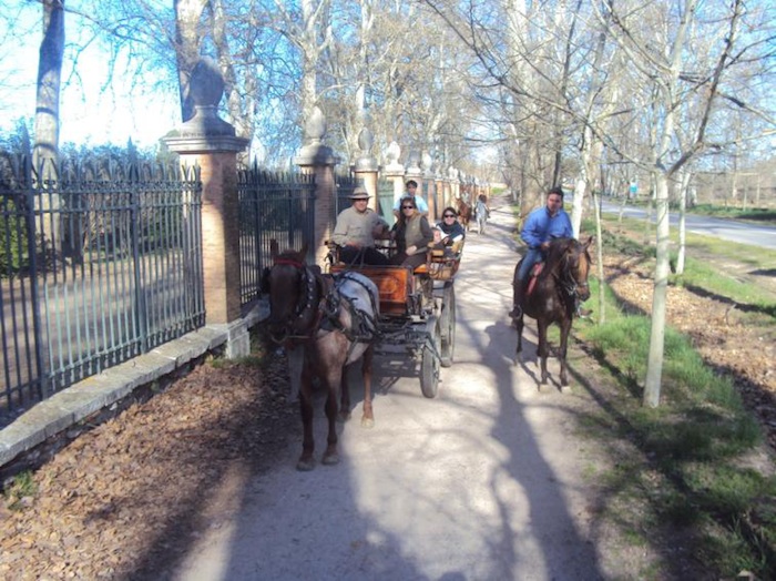 Ruta a caballo por Aranjuez